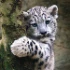 reviewer's avatar