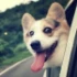 reviewer's avatar